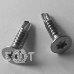 ISO 15482 A2 TX25 O 5,5x38, BOX 500 Stück