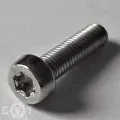DIN 84-TX (=SN 63271) A2 M2x10 TX6, BOX 1000 Stück
