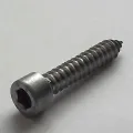 Blechschrauben A4 Kopf ähnl. DIN 912 5,5x22, BOX 200 Stück