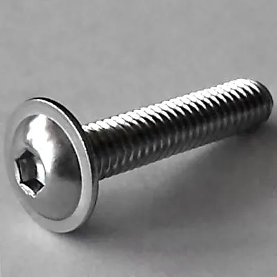 ISO 7380-2 A2 M6 x 14, BOX 500 Stück