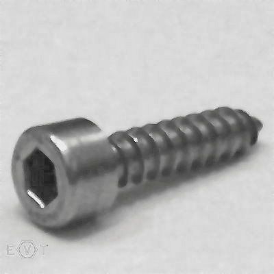 Tapping screws A2 head acc. to DIN 912  4,8x70, Box 200 pcs.