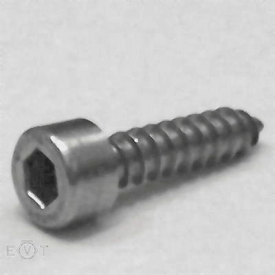 Blechschrauben A2 Kopf ähnl. DIN 912 5,5x70, BOX 200 Stück