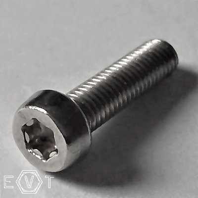 DIN 84-TX (=SN 63271) A2 M8x60 TX40, Box 200 pcs.