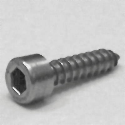 Tapping screws A2 head acc. to DIN 912  4,8x25, Box 200 pcs.