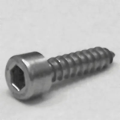 Blechschrauben A2 Kopf ähnl. DIN 912 5,5x19, BOX 200 Stück