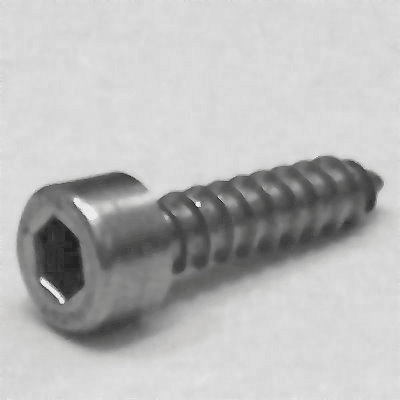 Blechschrauben A2 Kopf ähnl. DIN 912 5,5x55, BOX 200 Stück