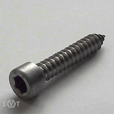 Tapping screws A4 head acc. to DIN 912 4,8x19, Box 200 pcs.