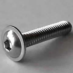 ISO 7380-2 A2 M4 x 14, BOX 500 Stück