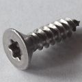 ISO 14586 (~DIN 7982-TX) A2 4,8x100 TX25, Box 100 pcs.