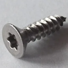 ISO 14586 (~DIN 7982-TX) A2 4,8x90 TX25, Box 100 pcs.