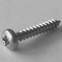 DIN 7981 A2 CZ 5,5x45, Box 200 pcs.