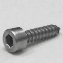 Blechschrauben A2 Kopf ähnl. DIN 912 5,5x19, BOX 200 Stück