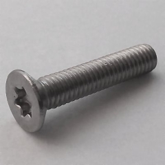 ISO 14581 A2 M4 x 18 TX20, BOX 1000 Stück
