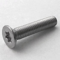ISO 14581 A4 M4x8 TX20, BOX 1000 Stück